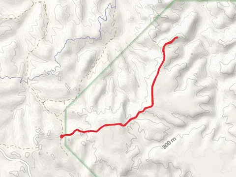 Petrified Forest Loop Trail - Short