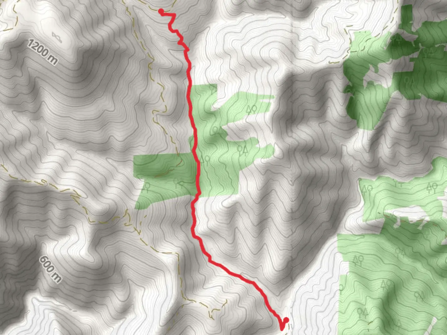 An image depicting the trail Red Dog Trail and its surrounding area.