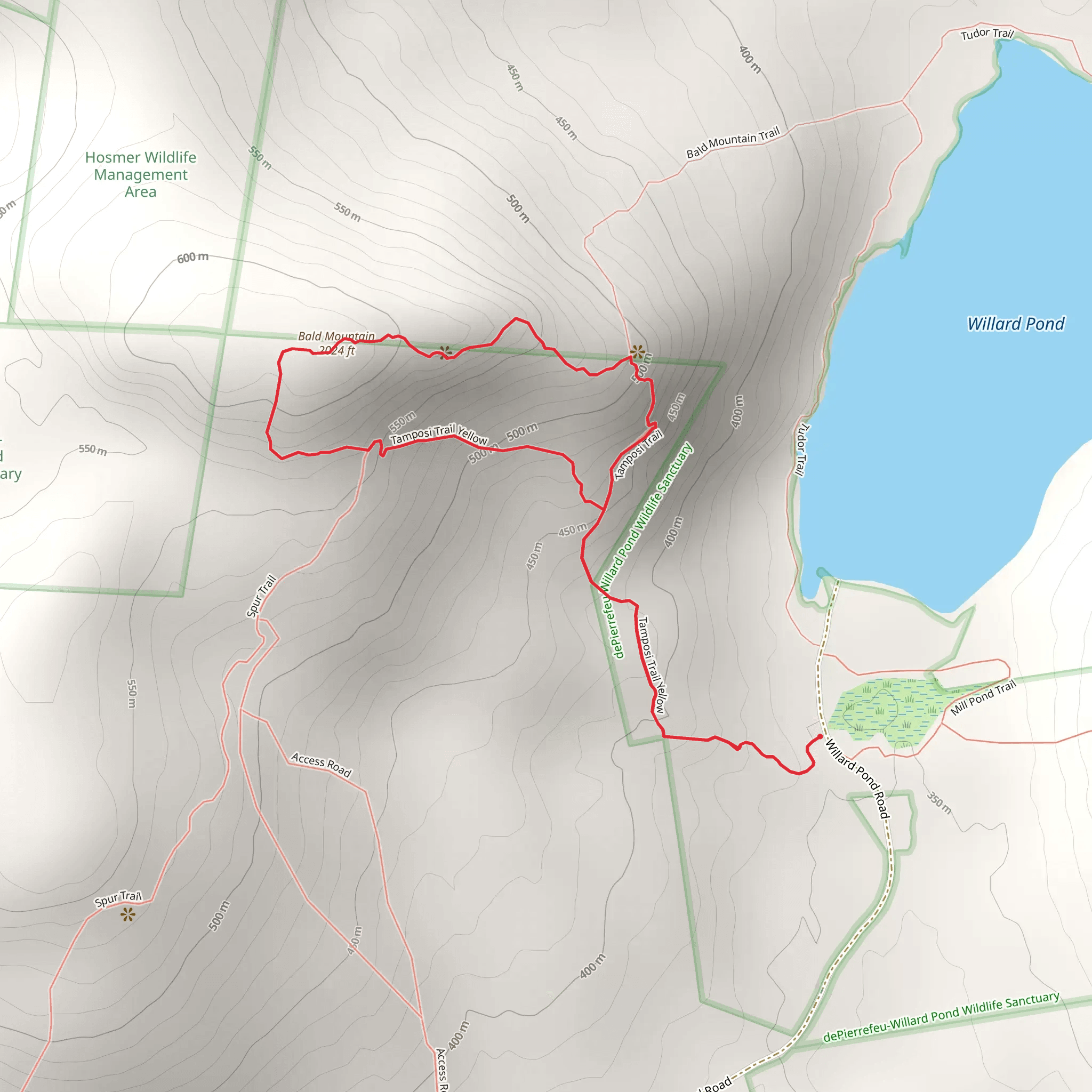 Bald Mountain and Depierrefeu-Willard Pond Loop mobile static map
