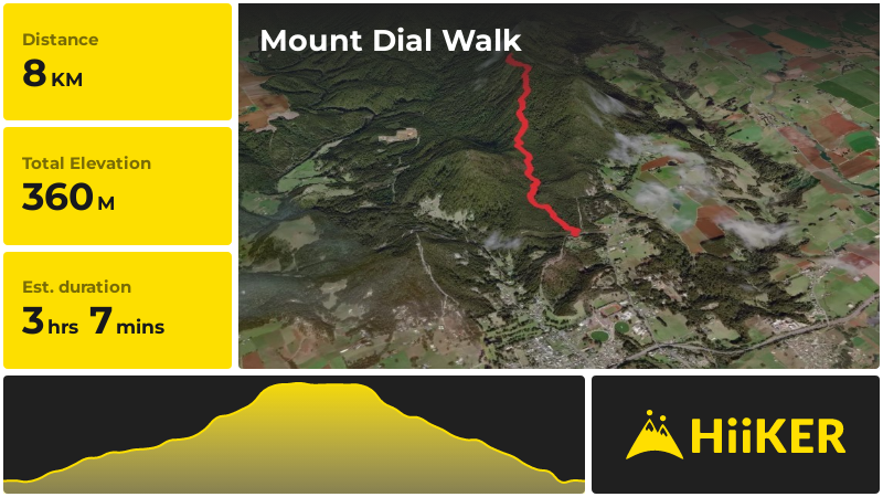 Mount Dial Walk | Penguin | Tasmania