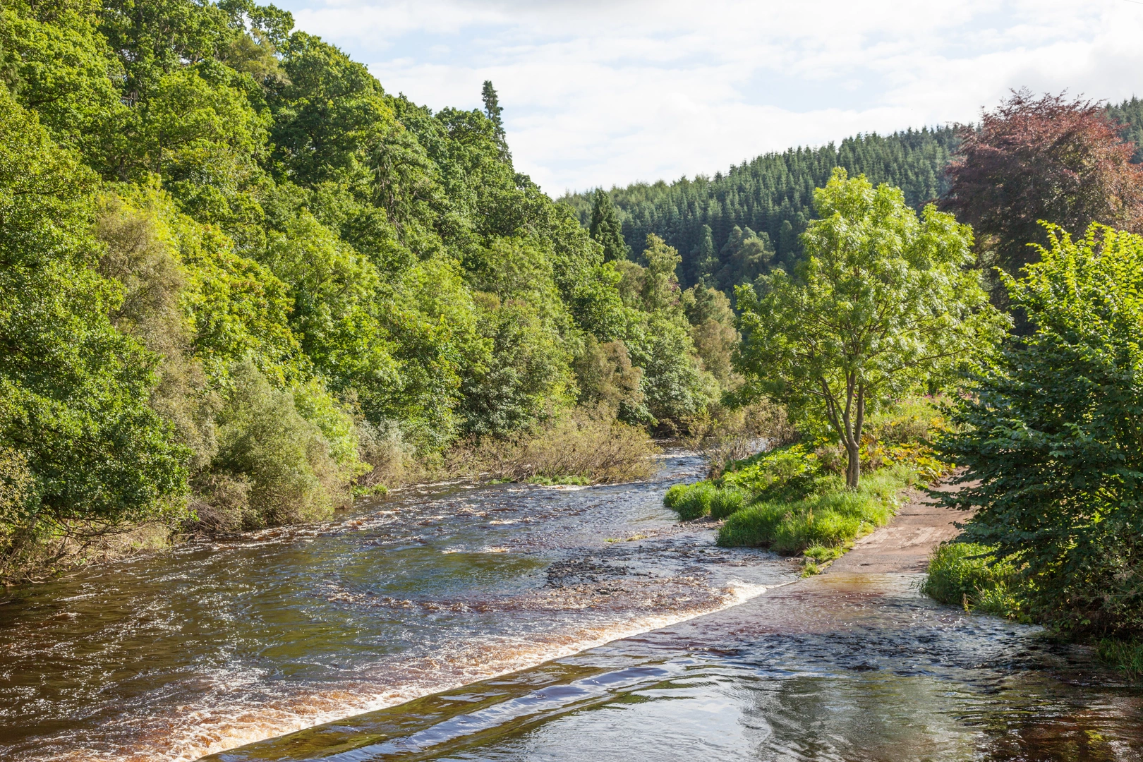 An image depicting the trail Sir Walter Scott Way and its surrounding area.