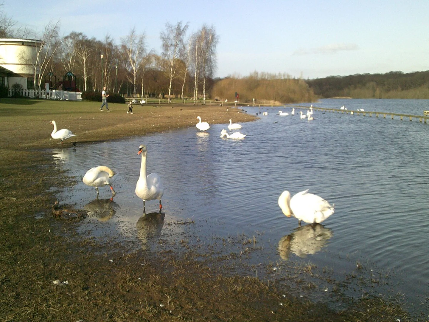 An image depicting the trail Pinner Memorial Park, Long Meadow, Ruislip Woods NNR and Ruislip Lido Loop and its surrounding area.