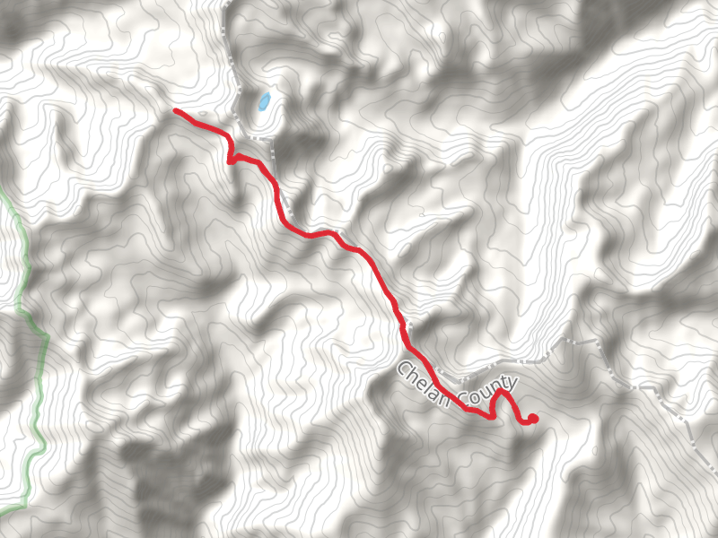 Summer Blossom Trail