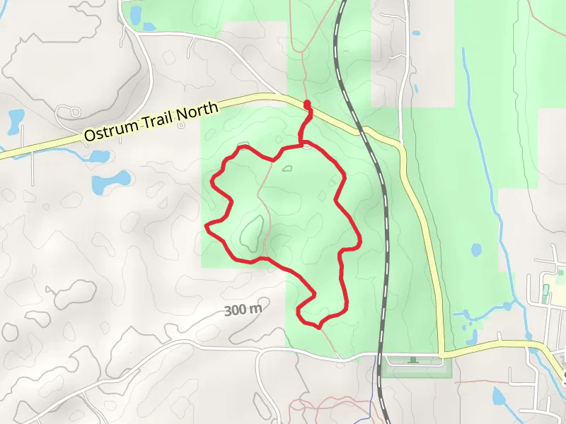 Southern Loop Trails