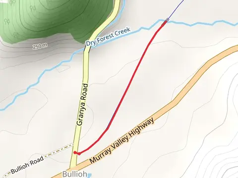 Dry Forest Creek Trestle Walk