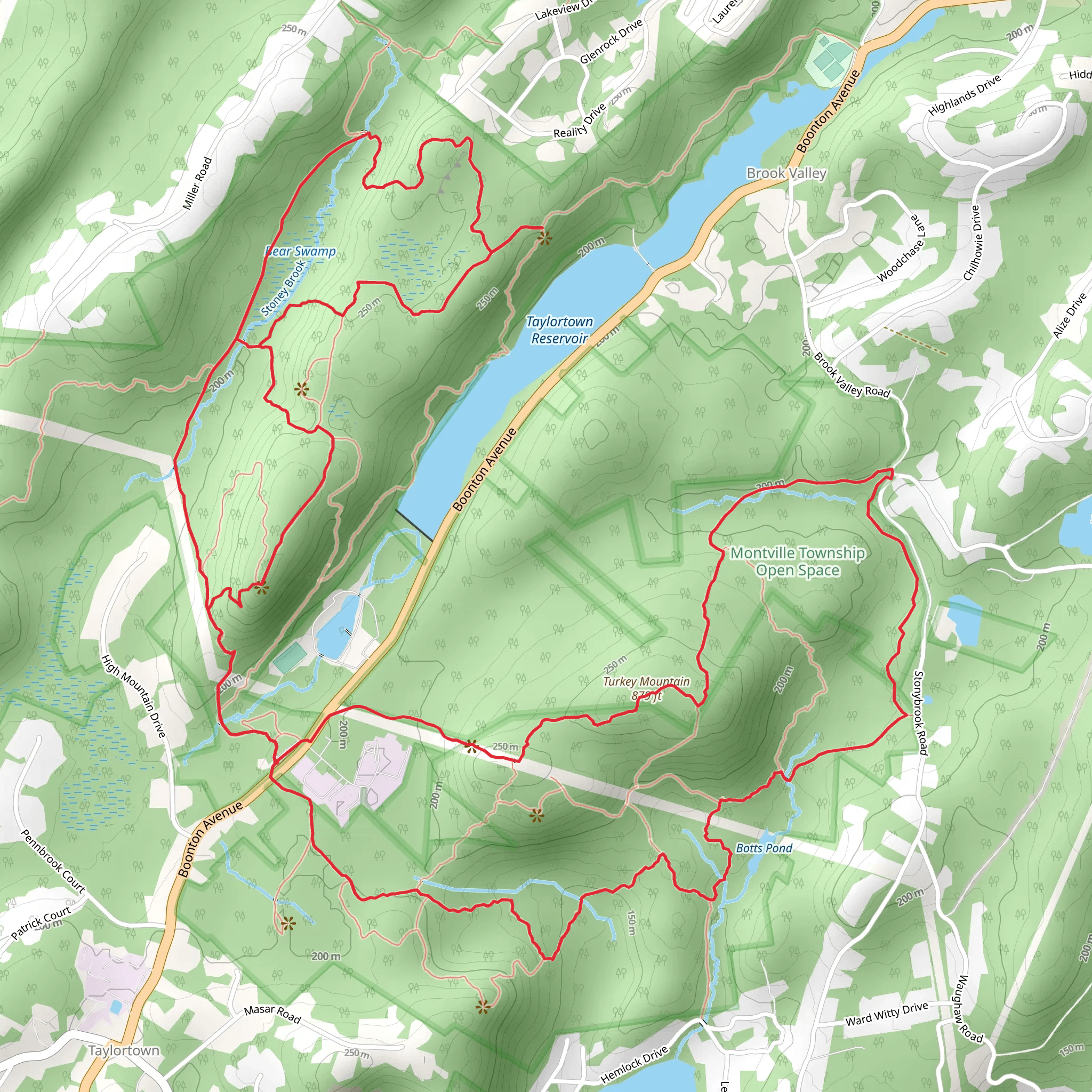 Taylortown Reservoir - Pyramid Mountain - Turkey Mountain Loop mobile static map