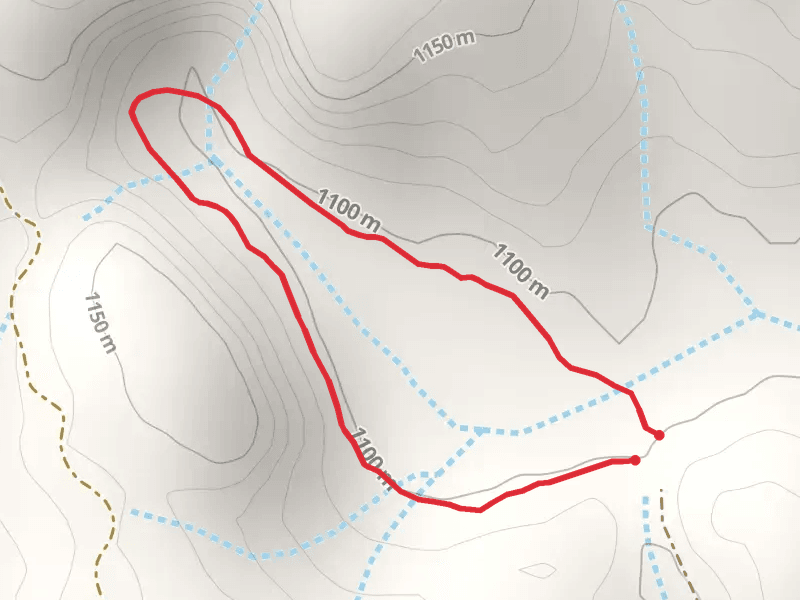 Brandy City Pond Trail