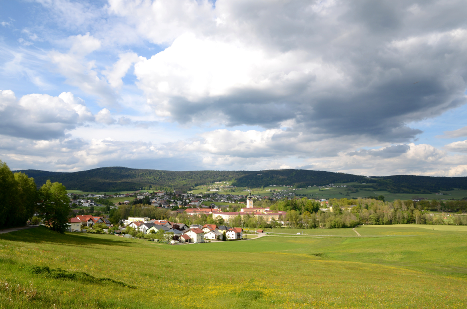 An image depicting the trail Schlägler Loop and its surrounding area.