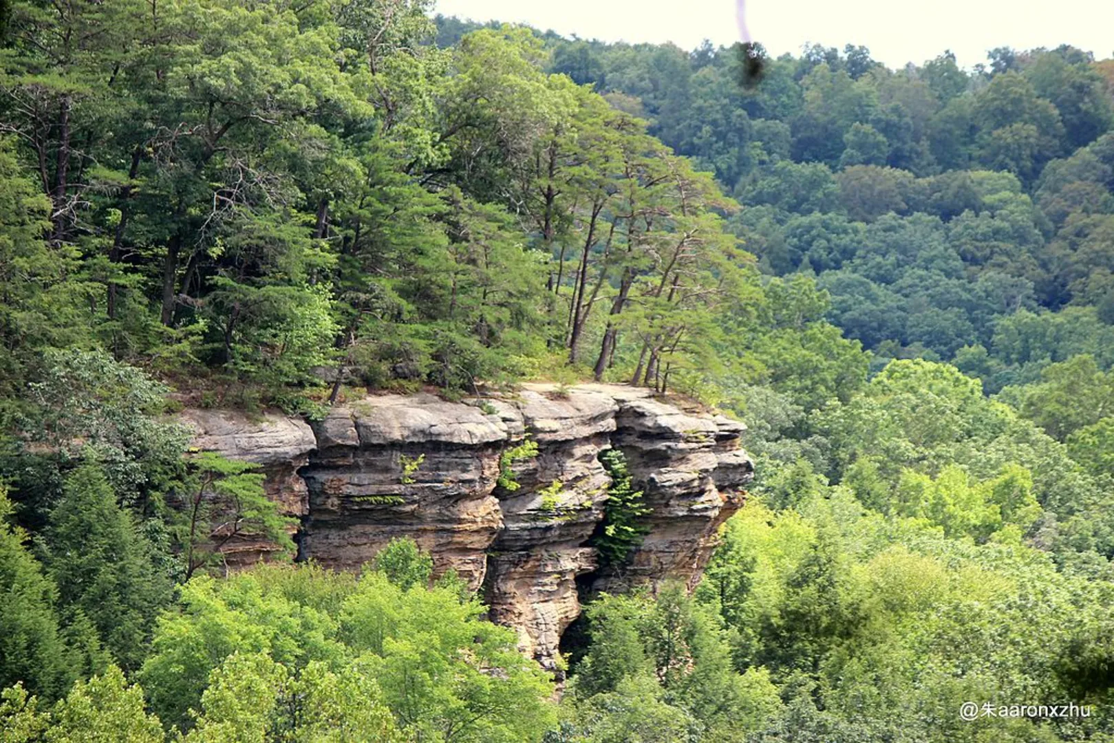 An image depicting the trail Wildcat Hollow Trail and its surrounding area.