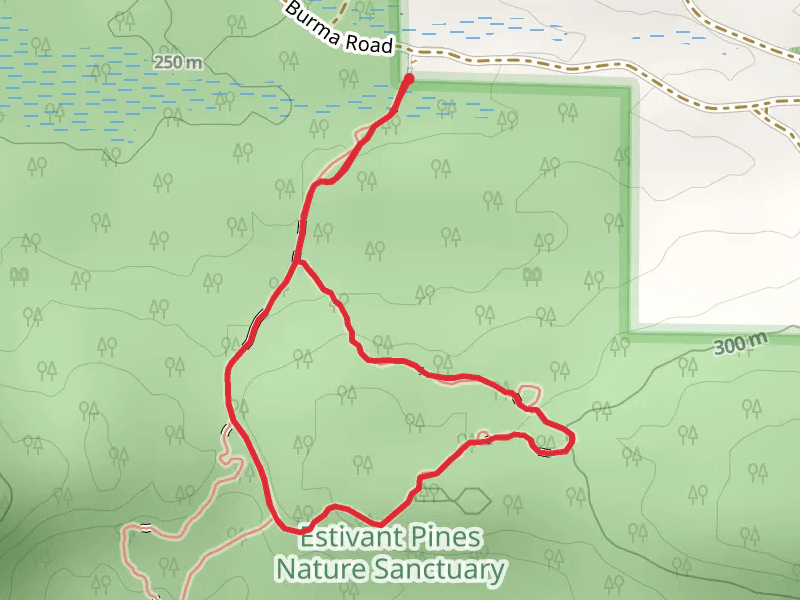 Bertha Daubendiek Memorial Grove Trail Loop