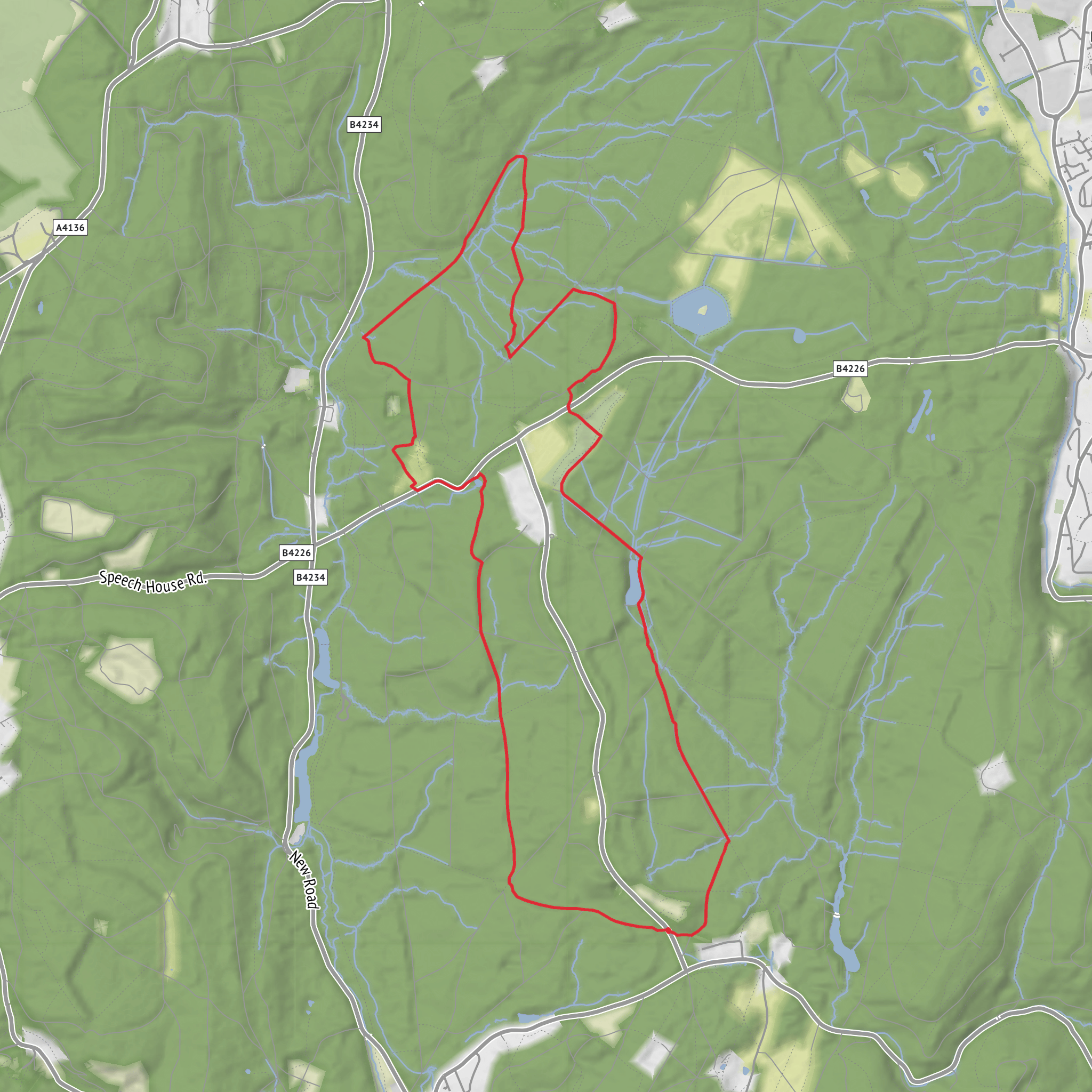Blackpennywall Green, Speech House Lake and Reform Bridge Loop mobile static map