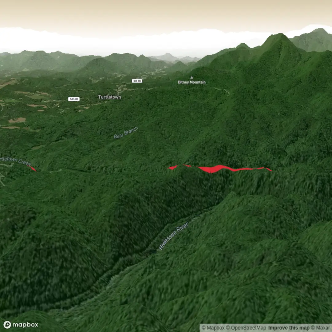 An image depicting the trail Turtletown Falls Loop and its surrounding area.