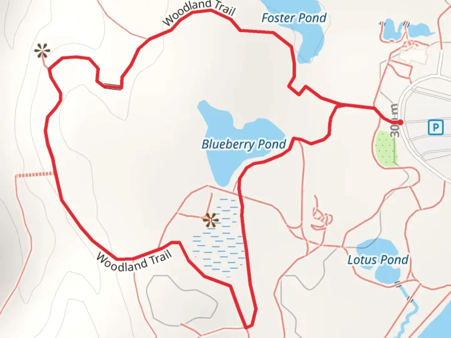 An image depicting the trail Blueberry Pond via Woodland Loop Trail and its surrounding area.
