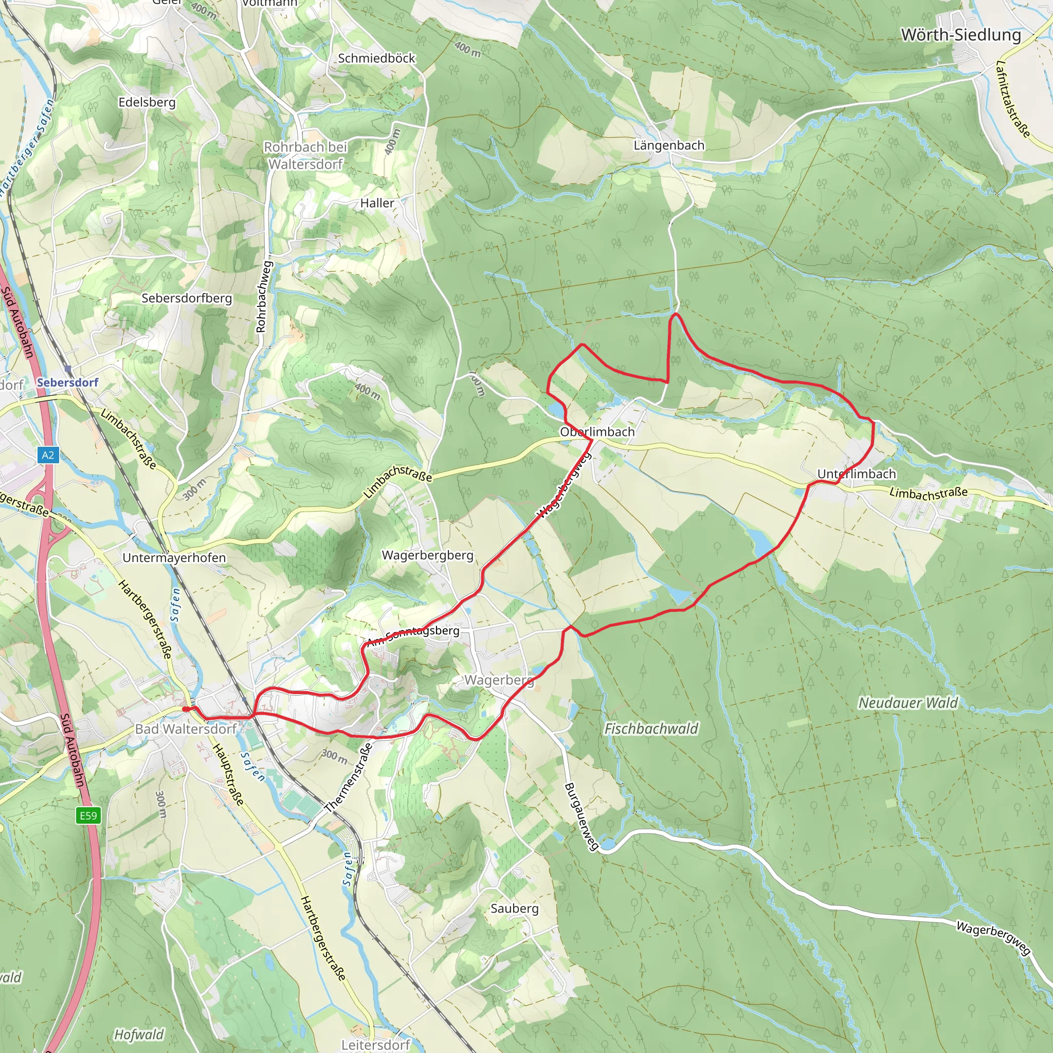 W6 Celtic Tree Loop Trail mobile static map