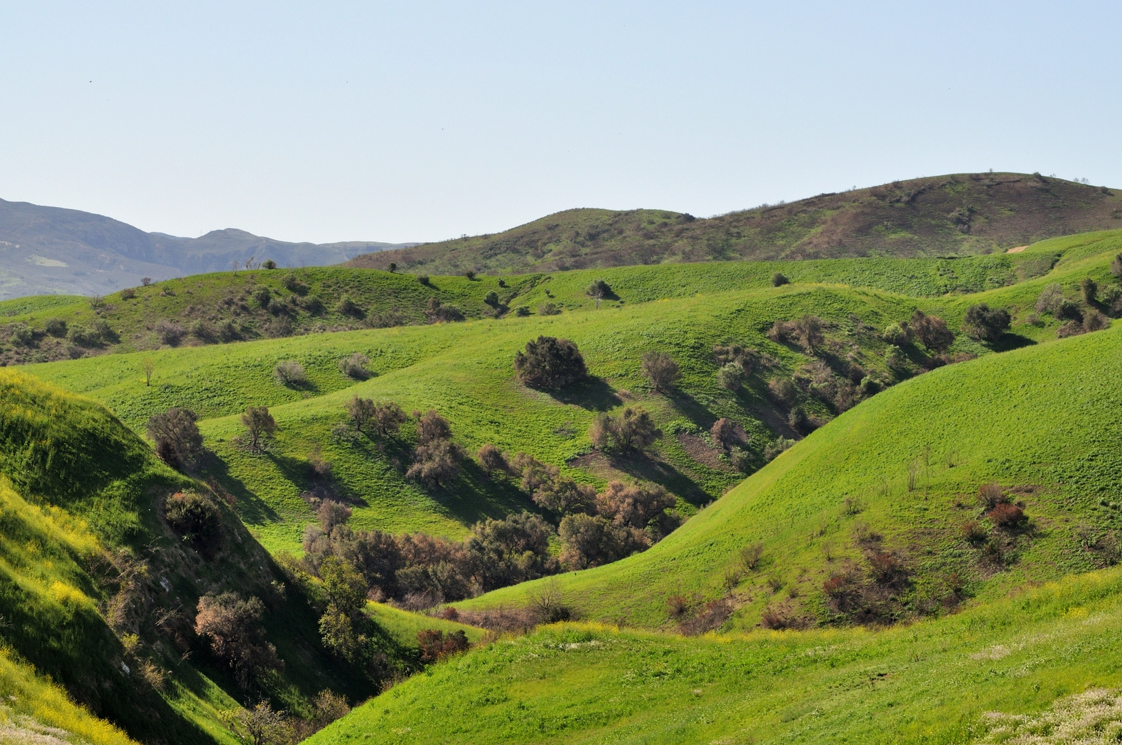 An image depicting the trail Aliso Canyon Trail snd Bobcat Ridge Trail and its surrounding area.