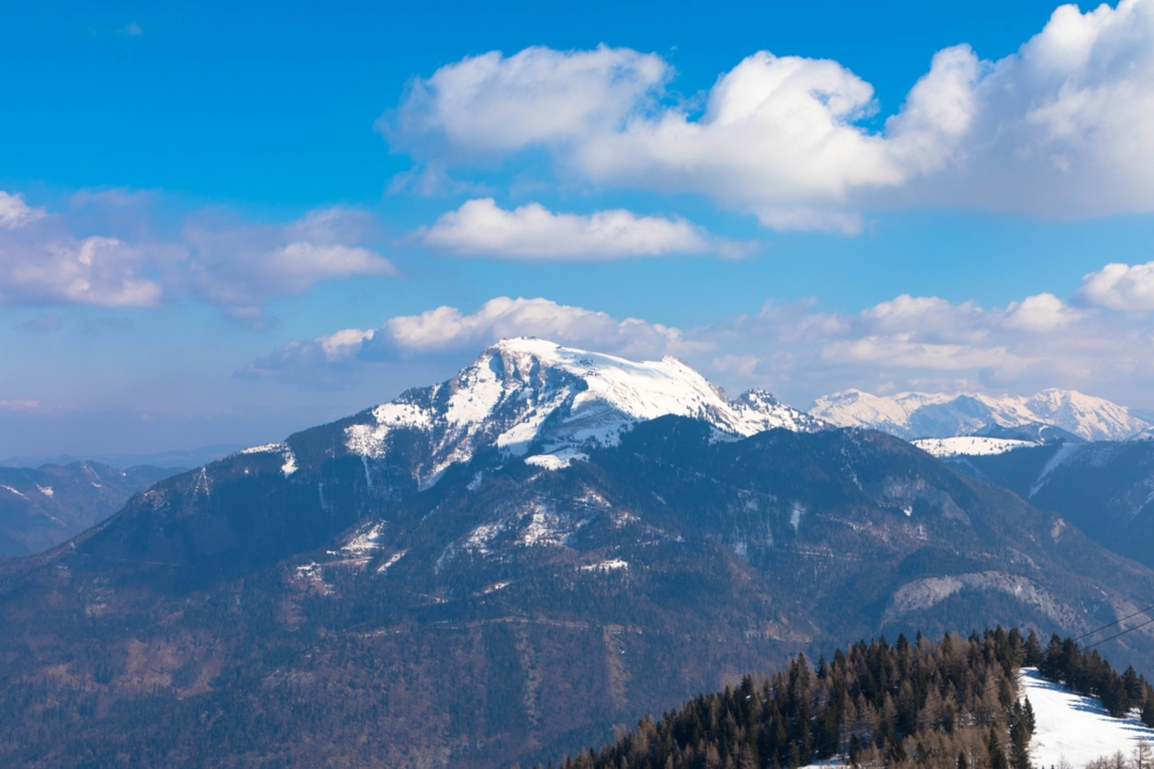 An image depicting the trail Pillstein Panorama Loop Path and its surrounding area.