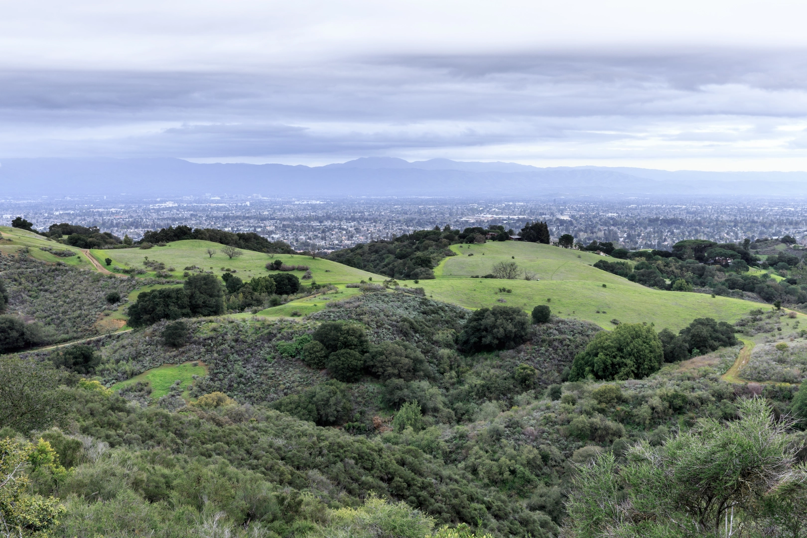 An image depicting the trail Nob Hill via Hayfield Trail and its surrounding area.