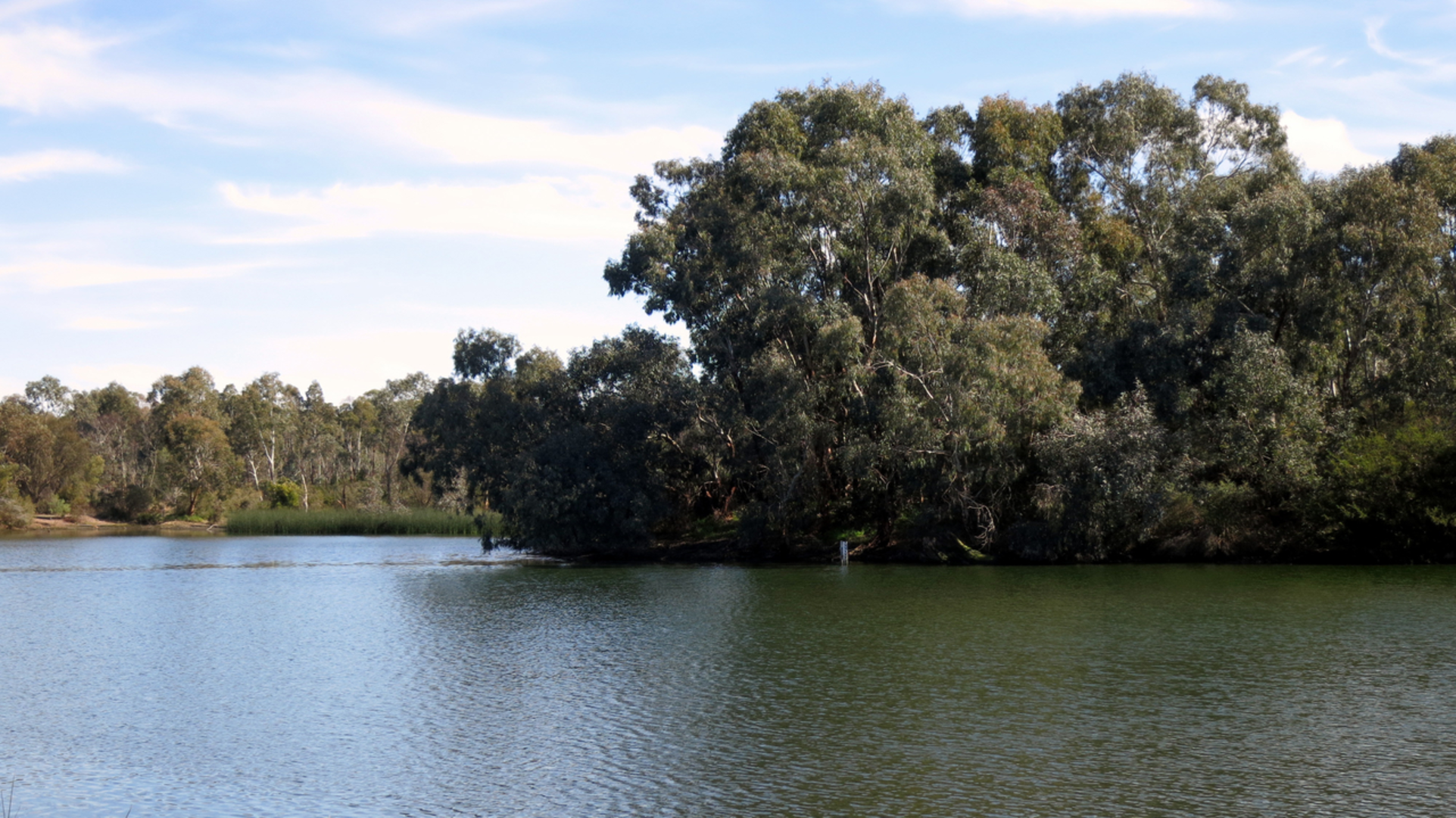 An image depicting the trail Mount Barker Linear Trail and its surrounding area.