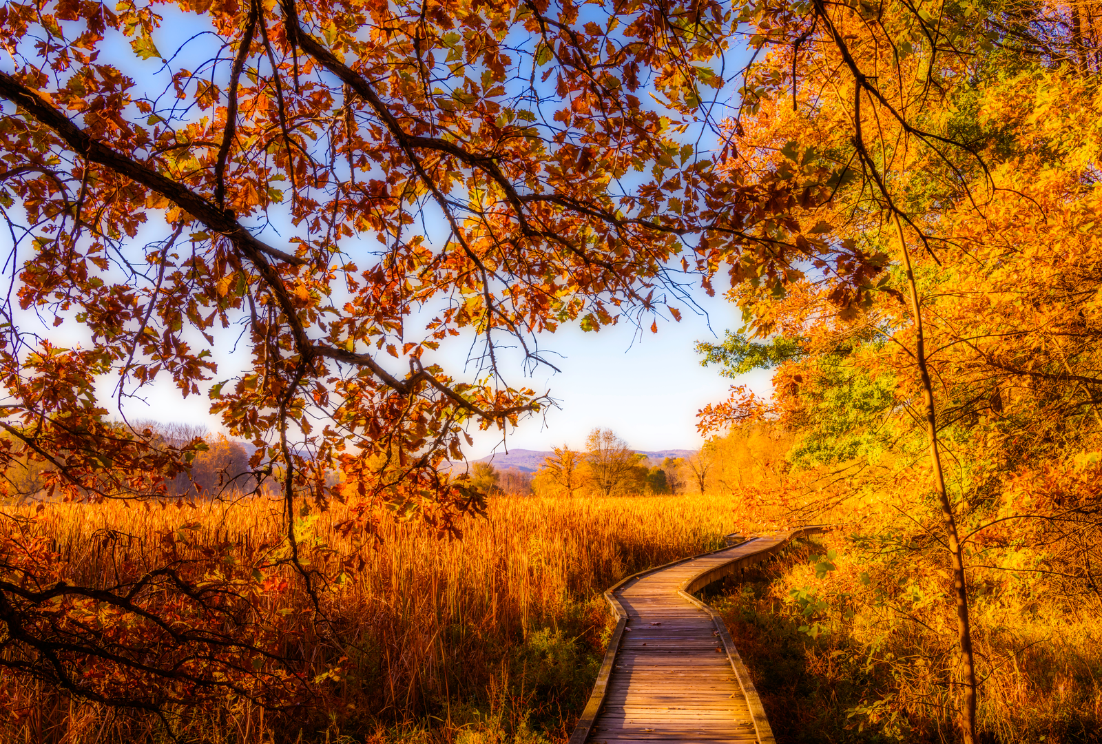 An image depicting the trail Wallkill Valley Loop and its surrounding area.