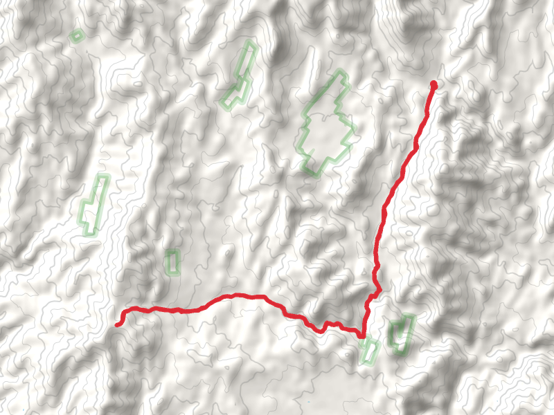 Arrastra Creek Trail