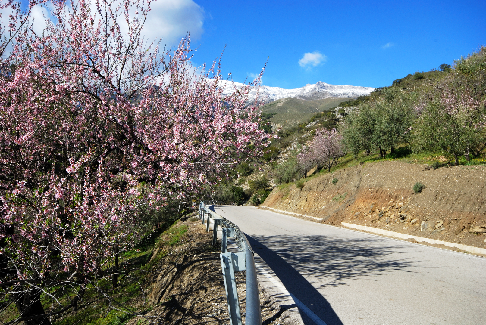 An image depicting the trail Gran Senda De Malaga and its surrounding area.