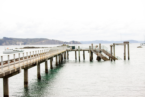 Tiritiri Matangi Island - Kawerau Track Loop