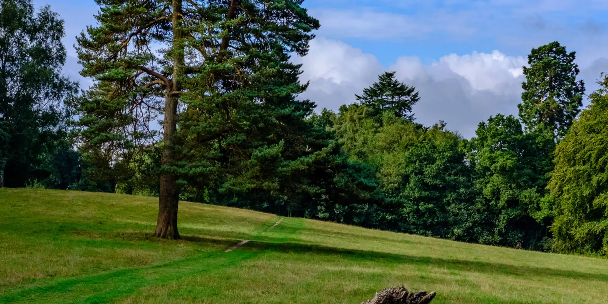 An image depicting the trail The Midhurst Way - Haslemere Station to Midhurst and its surrounding area.