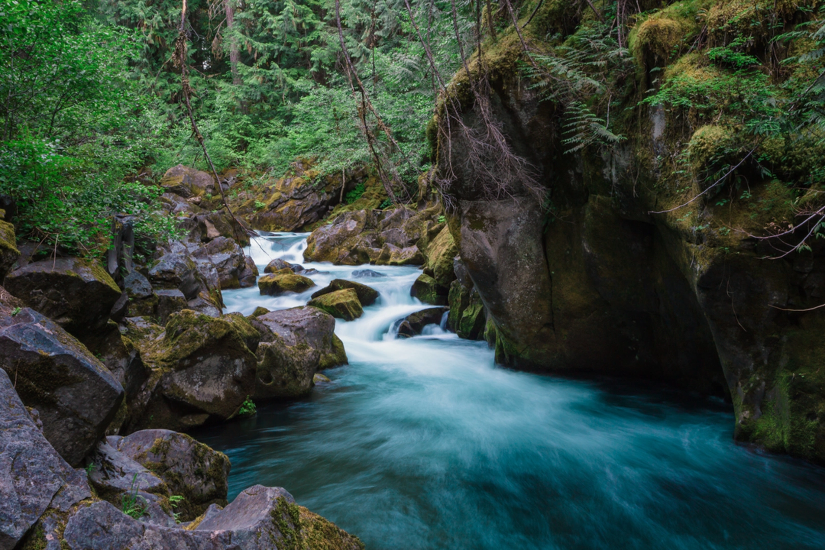 An image depicting the trail Toketee Falls Trail and its surrounding area.