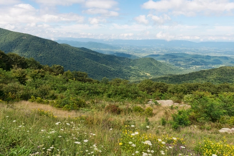 Old Rag Road - West Trail
