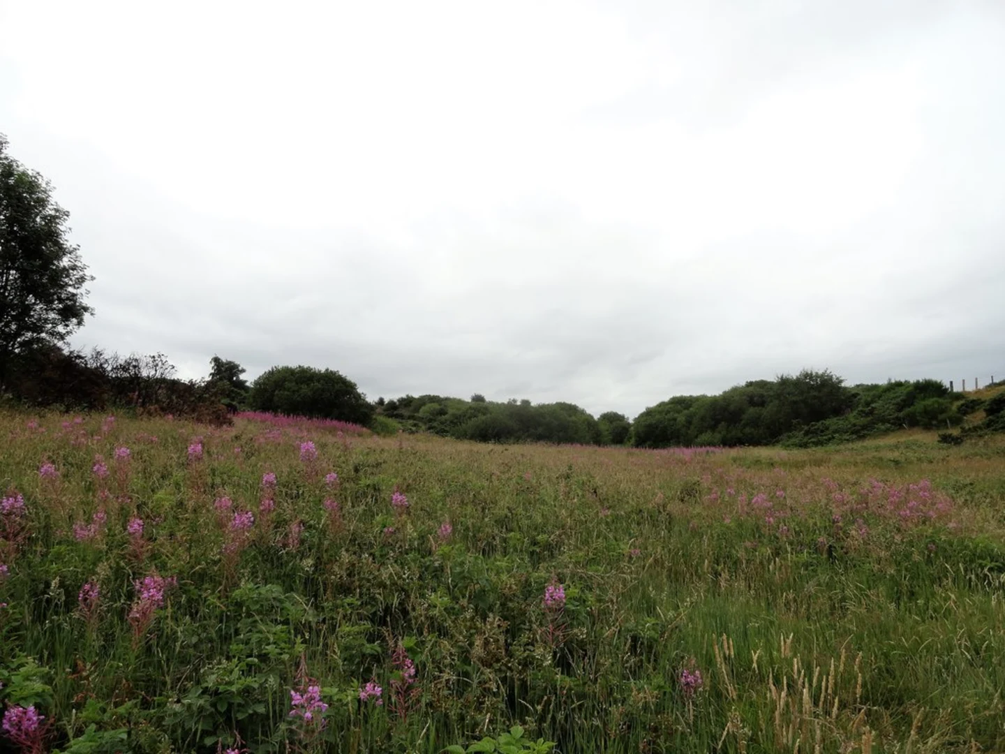 An image depicting the trail Kip Hill Loop via Consett and Sunderland Railway Path and its surrounding area.
