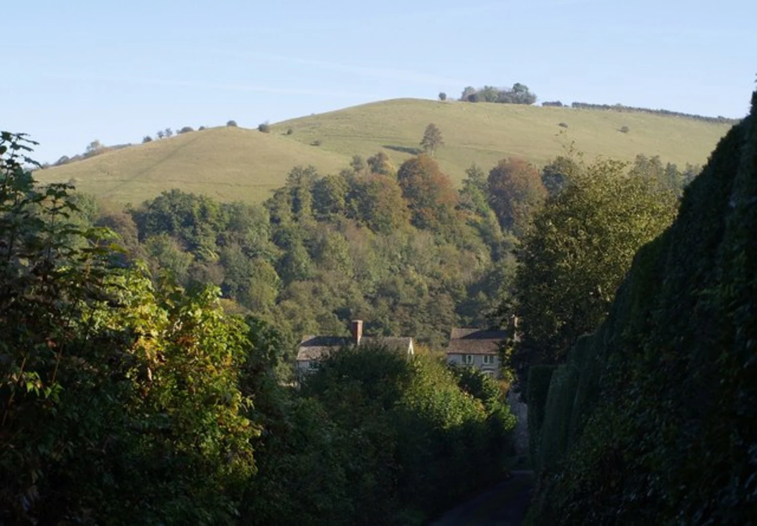 An image depicting the trail Painswick and Elcombe Loop via Heart Wood and its surrounding area.