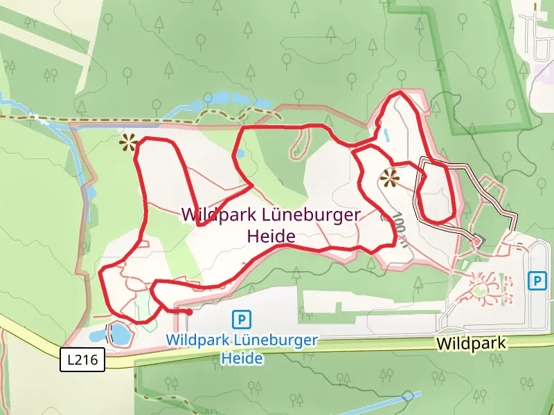 Wildpark Lüneburger Heide and Drei-Ahnen-Berg Loop