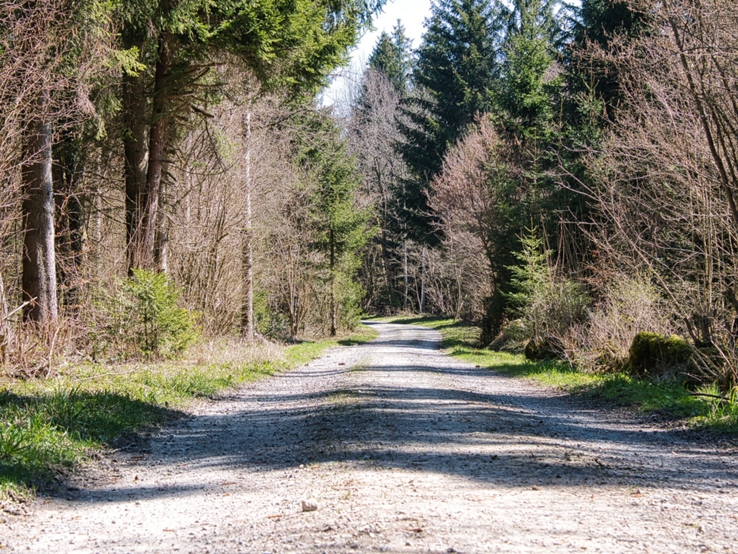 An image depicting the trail Radioweg Beromünster and its surrounding area.