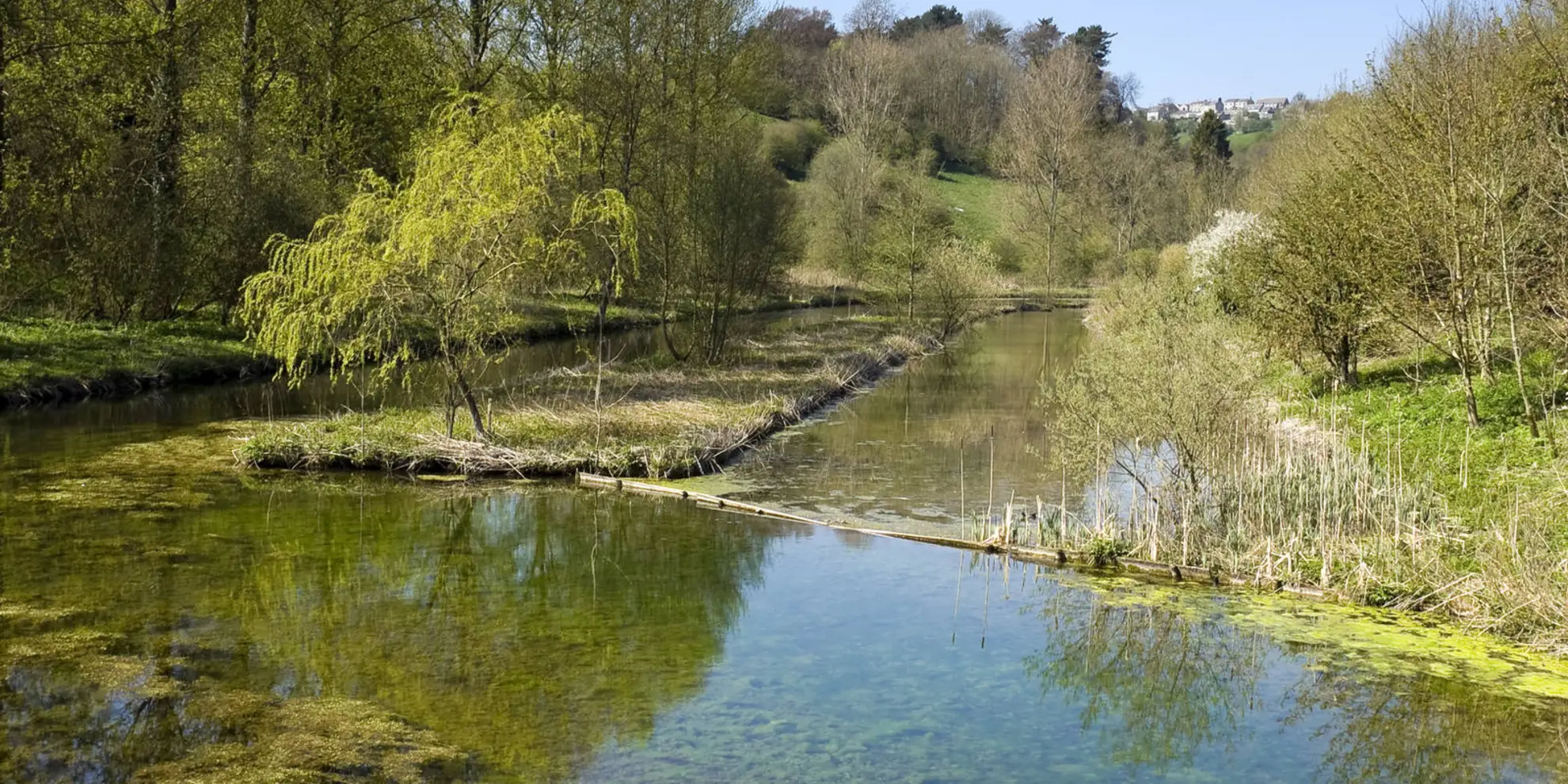 An image depicting the trail Lathkill Dale and Bradford Dale - Long Route and its surrounding area.