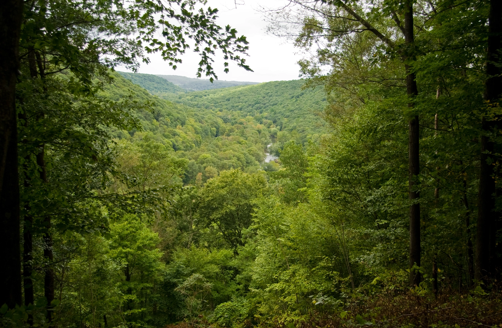 An image depicting the trail Oil Creek State Park and Husband Run and its surrounding area.