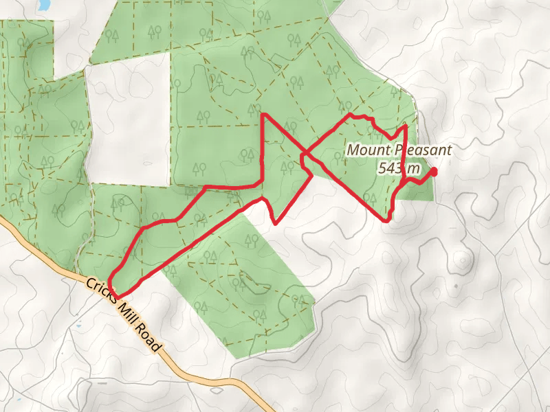 Mount Pleasant Summit Walk