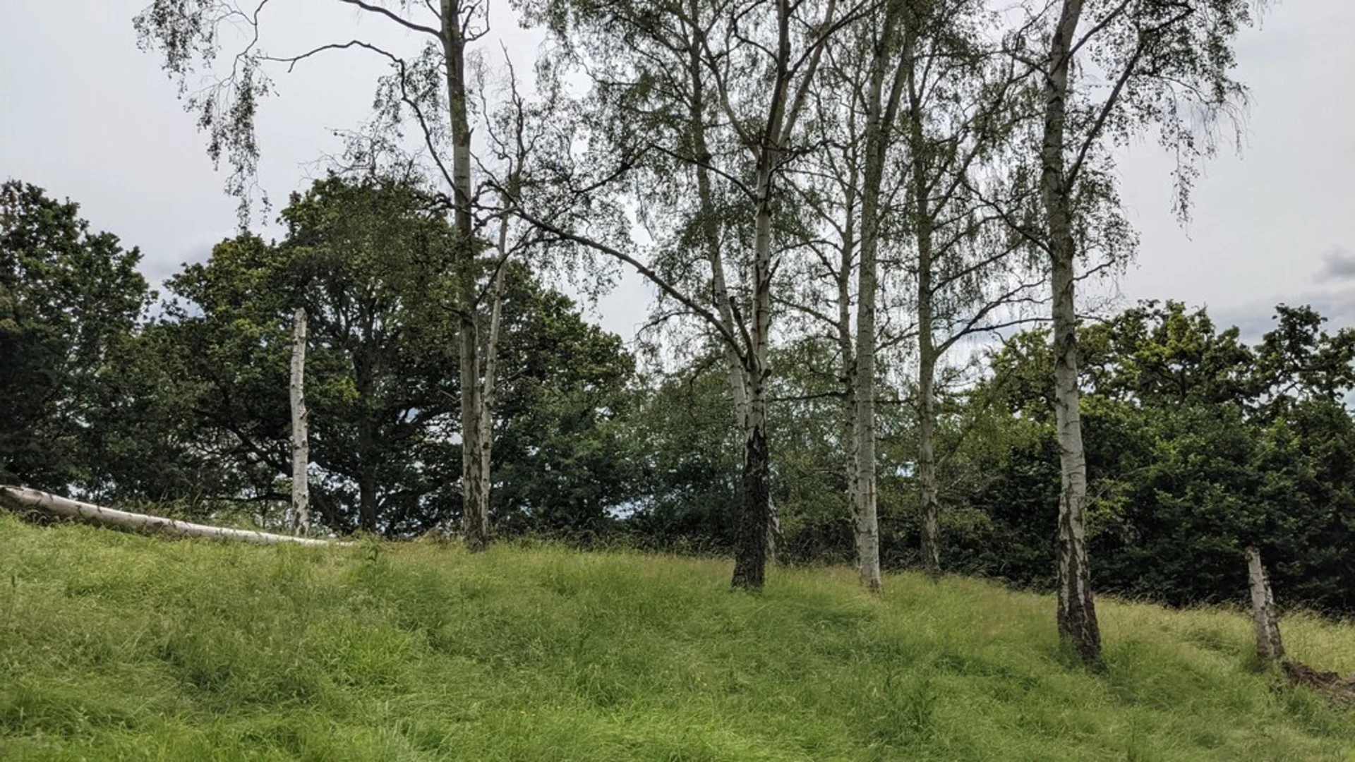 An image depicting the trail Martley Circular Loop Walk and its surrounding area.