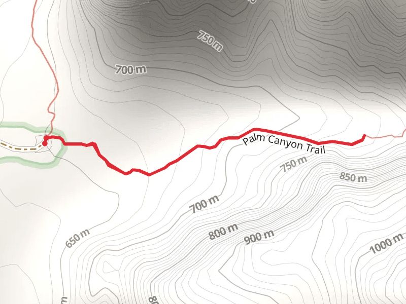 Palm Canyon Trail