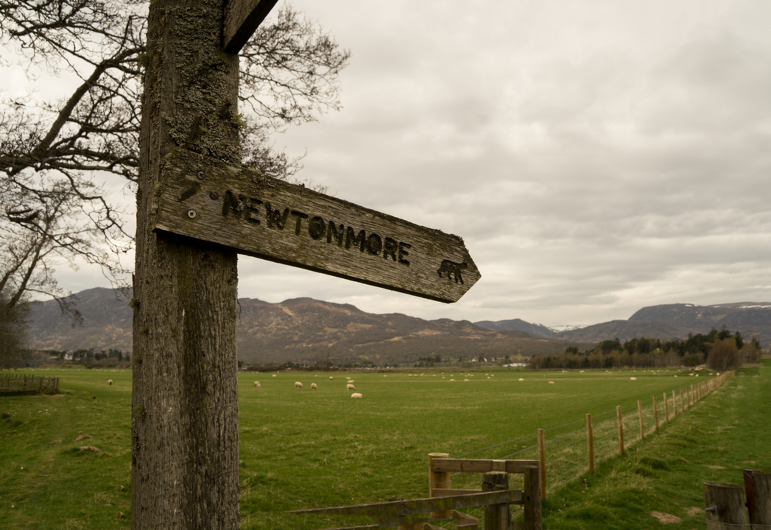 An image depicting the trail A' Chailleach - Monadhliath Walk and its surrounding area.
