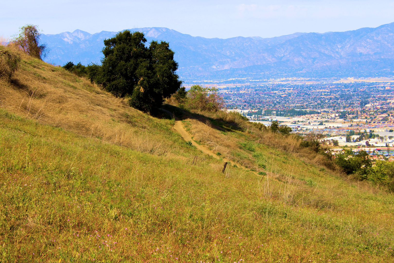 An image depicting the trail Mariposa Trail and Rattlesnake Ridge Trail and its surrounding area.