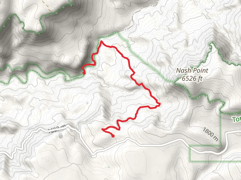 Bob Bear Trail - Fossil Creek Road 708