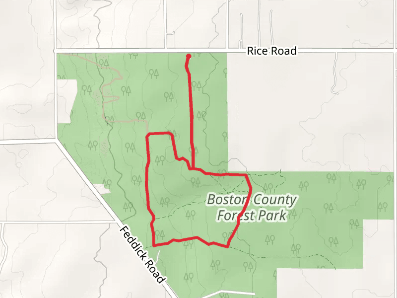 Boston County Forest Park Loop