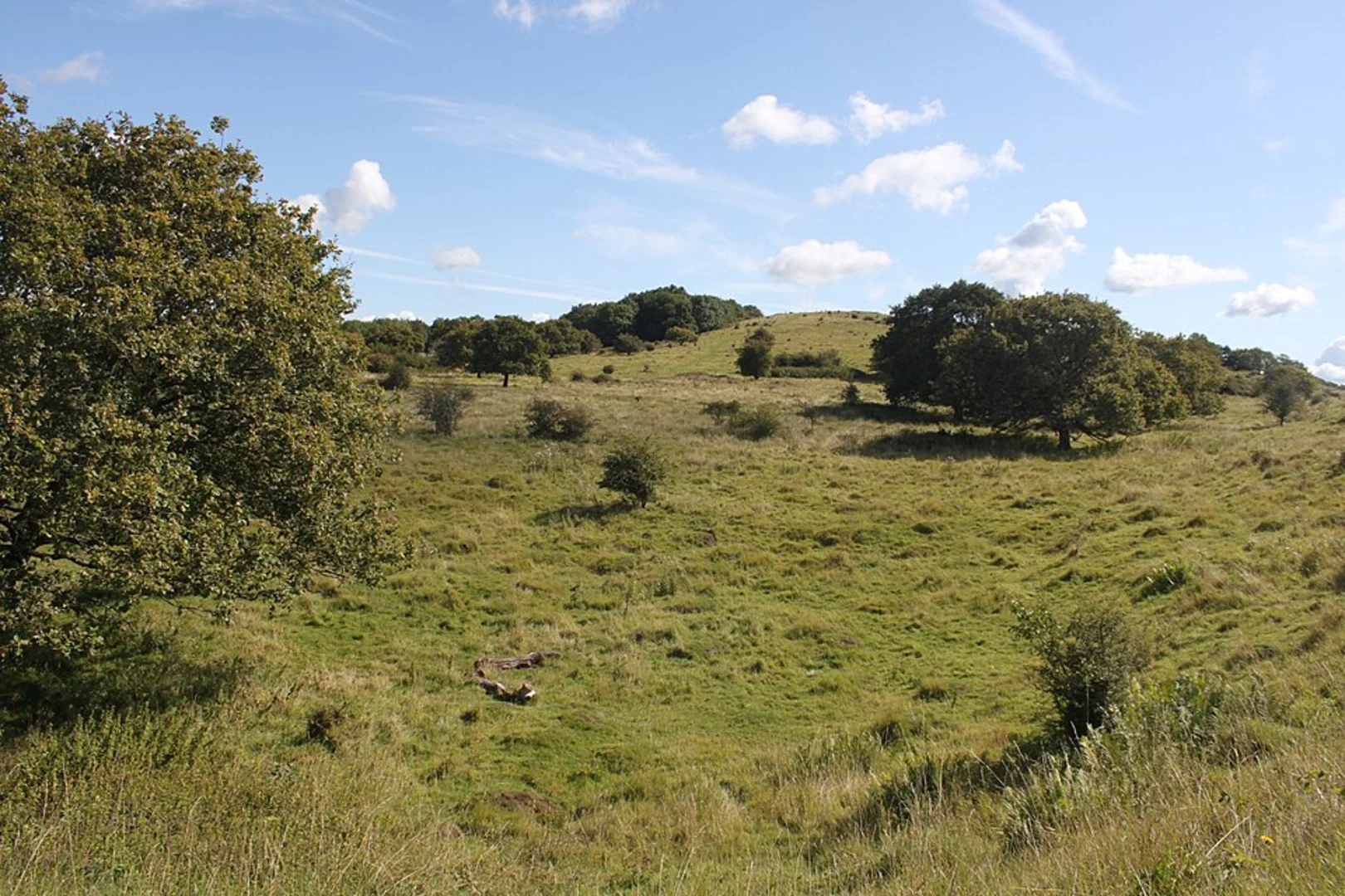 An image depicting the trail Dolebury Warren via Limestone Link and its surrounding area.