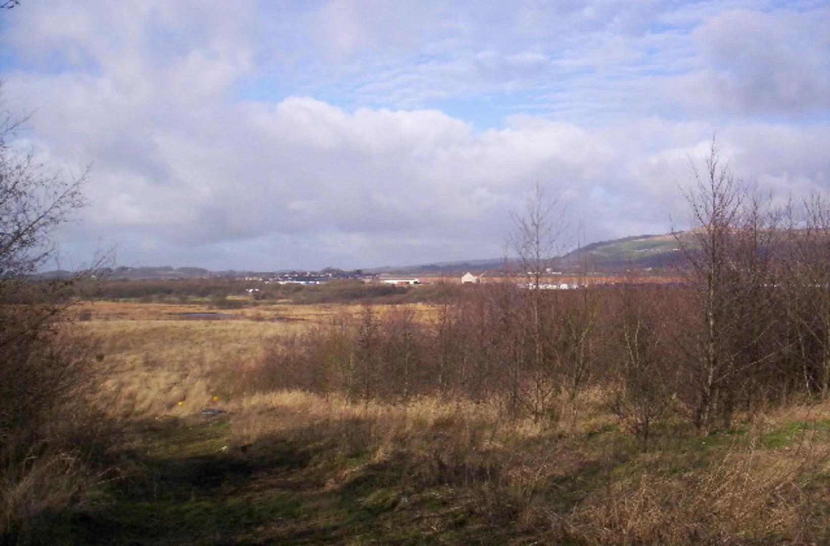 An image depicting the trail Middlebrook Loop and its surrounding area.