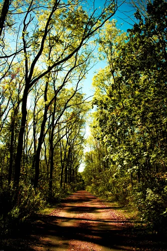 Ohio Erie Canal Towpath Trail