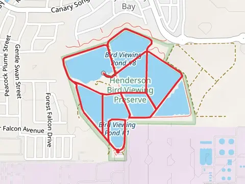 Bird Viewing Pond Loop