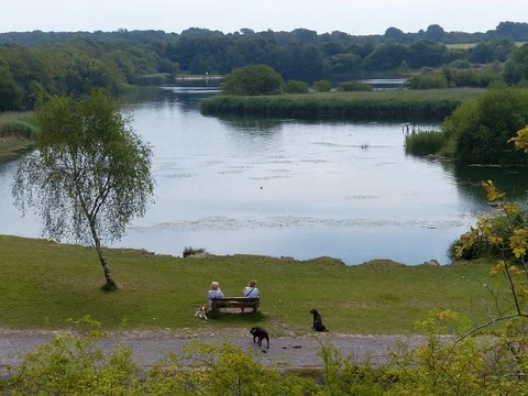 Cosmeston Lakes Country Park Loop