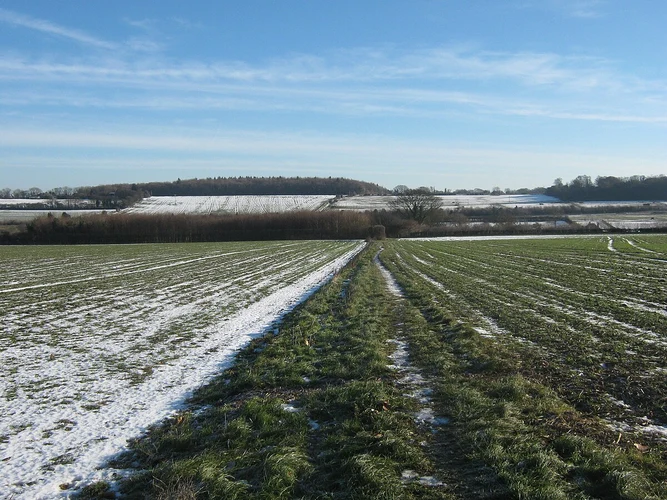 Tilmanstone Loop