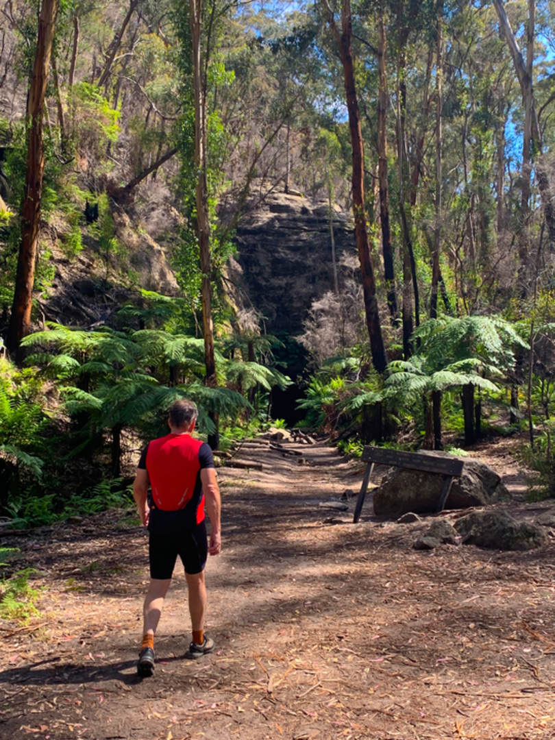 An image depicting the trail Glow Worm Tunnel Track and its surrounding area.