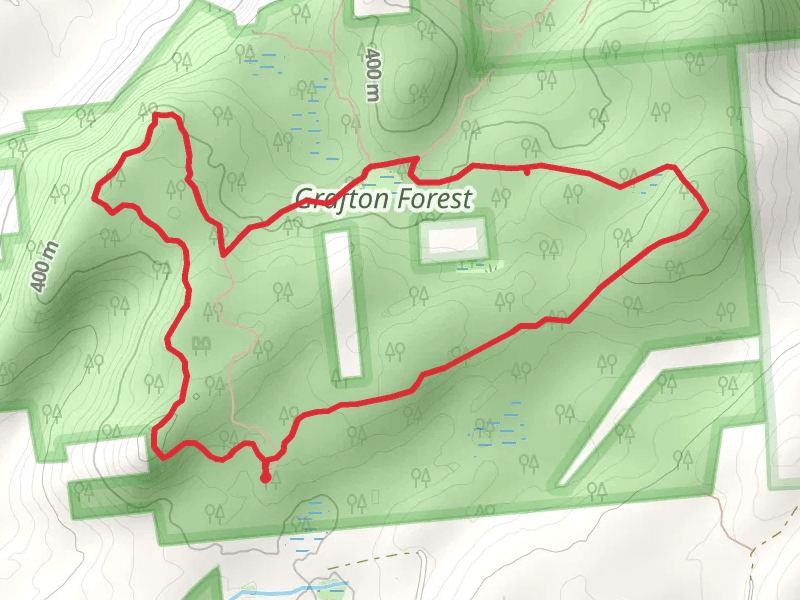 Highpoint Trail and Valley View Trail Loop from Grafton Forest Road
